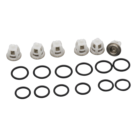 10001-01607 Valve Kit LW,ZW,FW,HW,SW