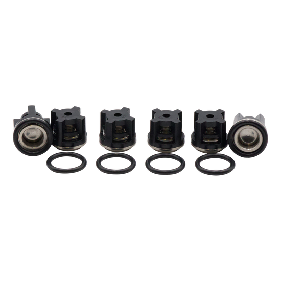 AR Check Valve Kit 1828 (XR)
