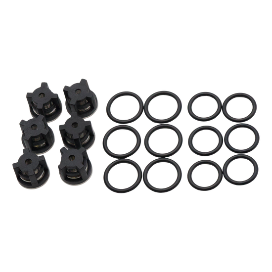 Dolly KIT AR 1828 Valves & O-Rings