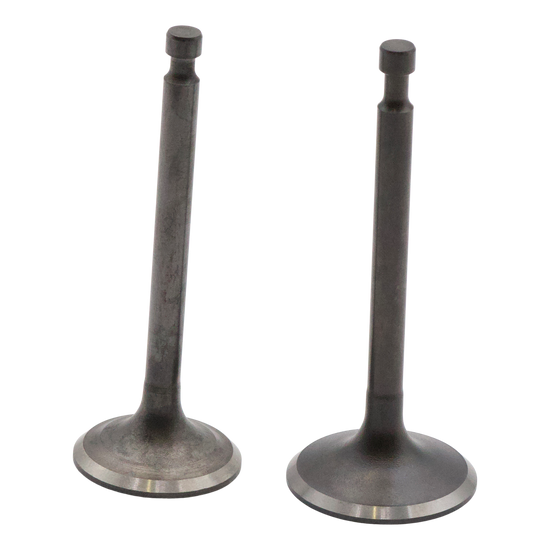 Set Intake & Exhaust Valves GX340-390