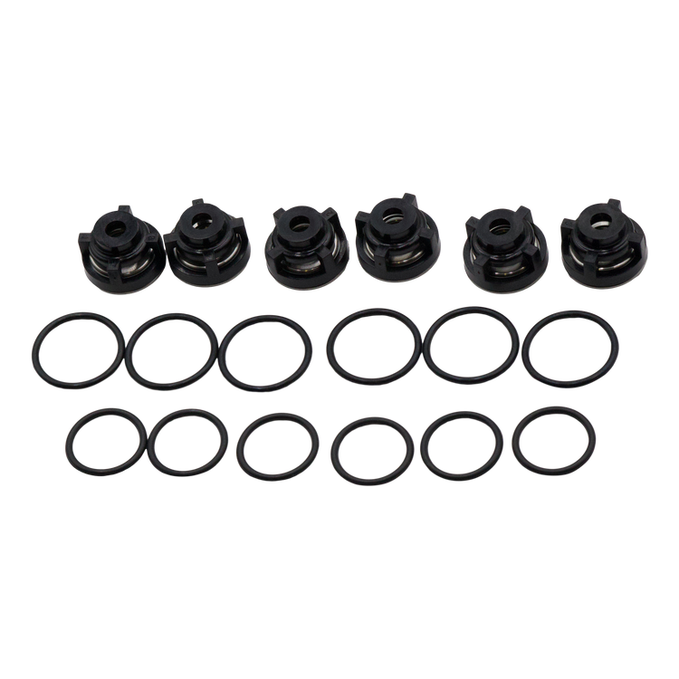 9116 CHECK Valve Kit P200/P300 Pumps