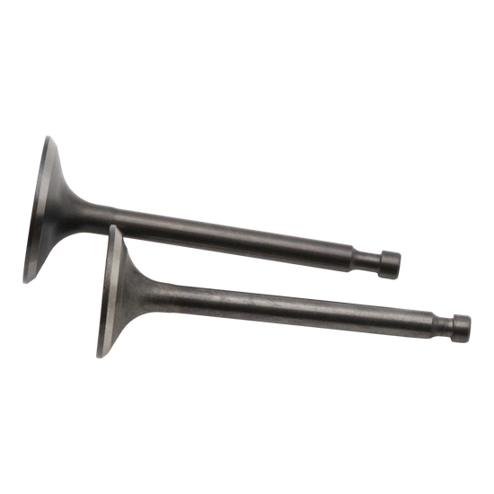 Set Intake & Exhaust Valves GX340-390