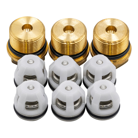 KIT 42762 Check Valves With Valve Caps