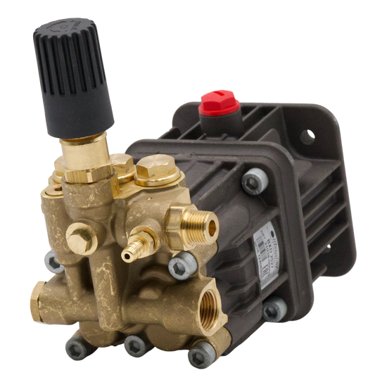 Comet BXD2527G 2.5GPM 2700PSI 3/4"Gas Shaft